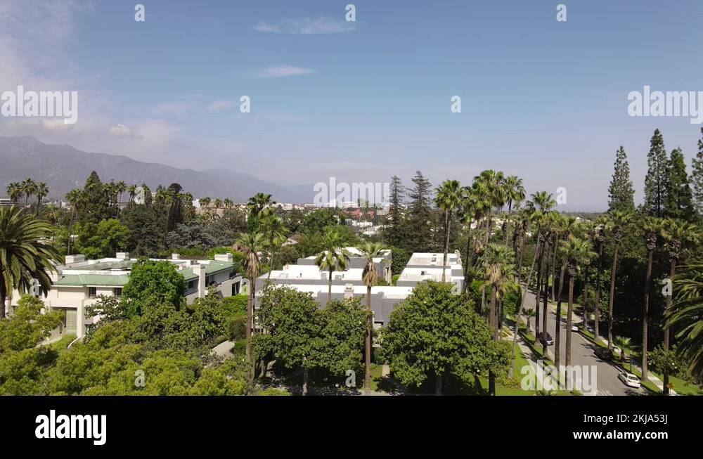 Pasadena palm trees Stock Videos & Footage HD and 4K Video Clips Alamy