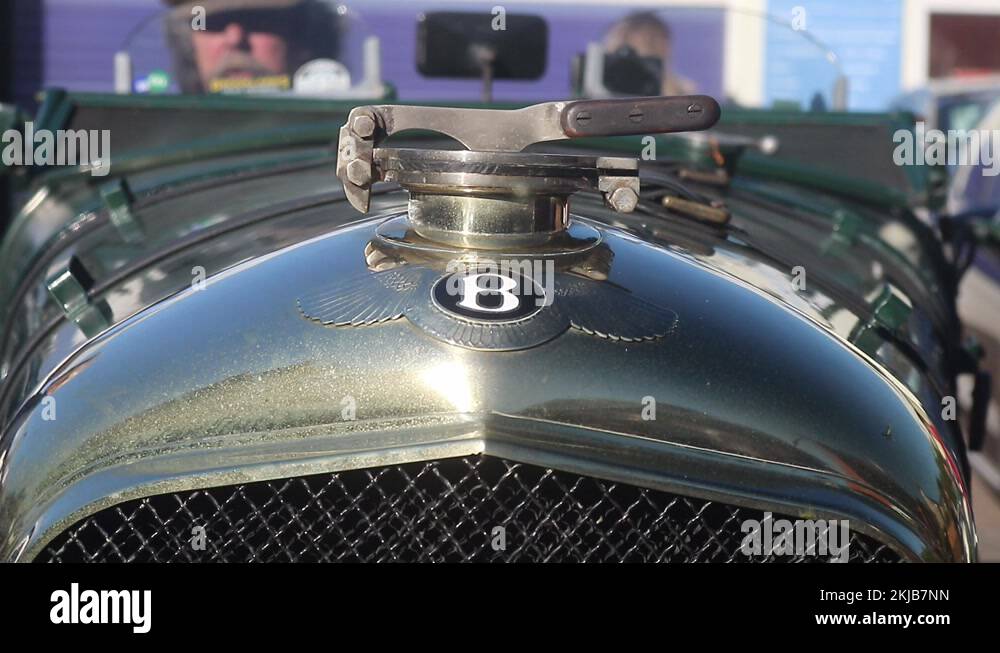 Bouchon de radiateur Delage D8 cabriolet 1930 | Estimée 350