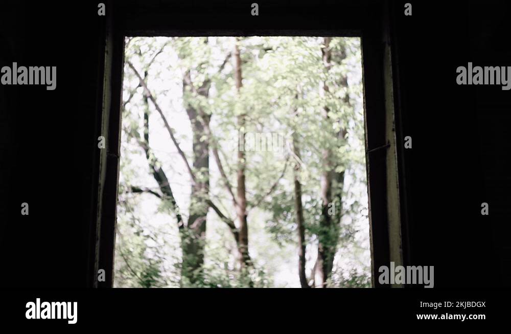 A guy walks into a dangerous old house wearing a hard hat. The unknown