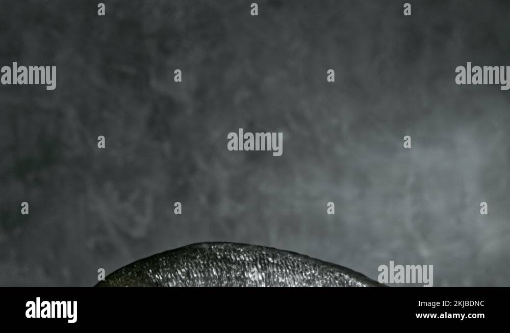 Flying fish seafood restaurant Stock Videos & Footage HD and 4K Video Clips Alamy