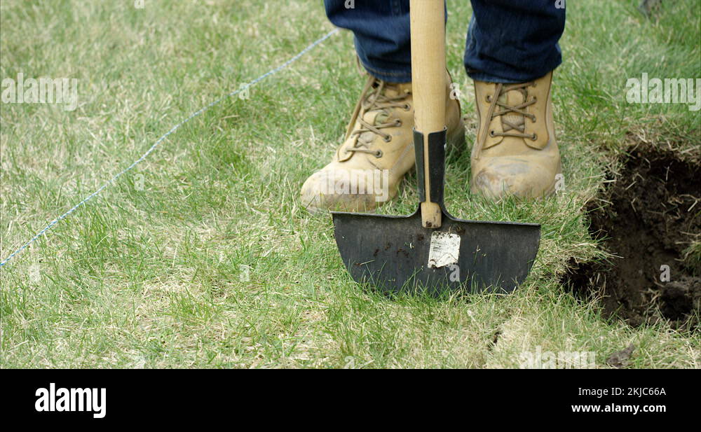 Lawn edger Stock Videos & Footage HD and 4K Video Clips Alamy