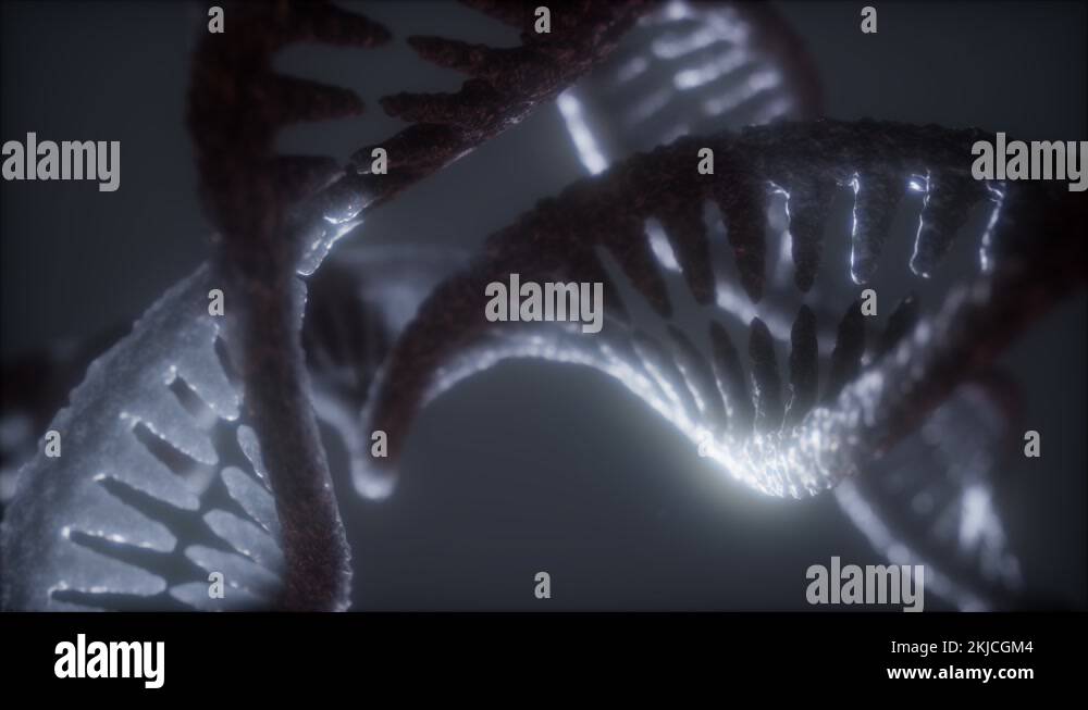 loop double helical structure of dna strand close-up animation Stock ...