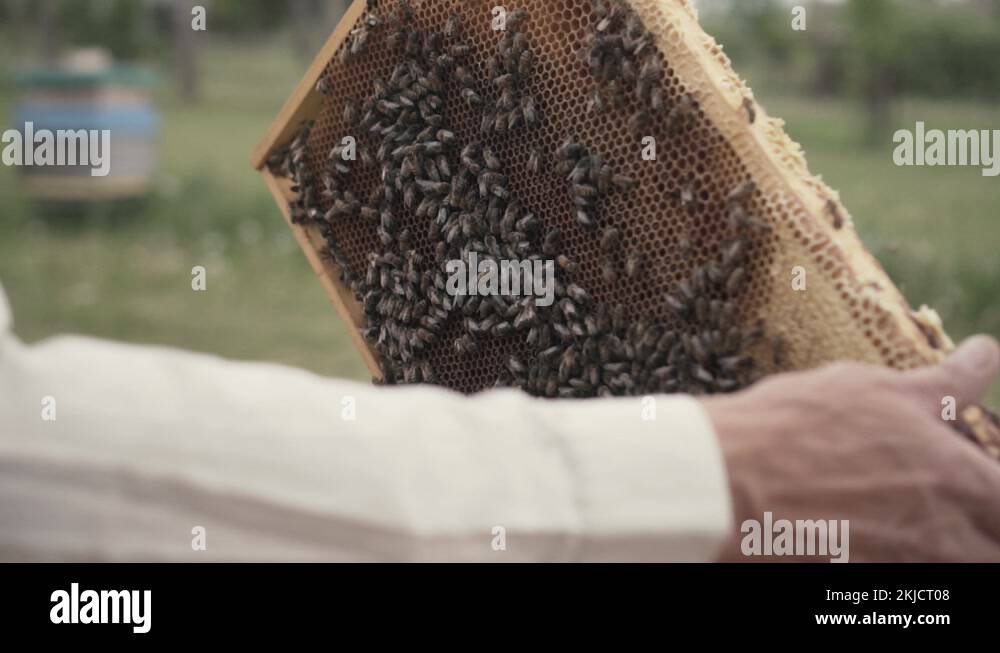 Rotating hundred and eighty degree angle of a wooden frame