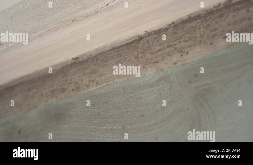 Mold growth in building. Spores of black mold on the ceiling, walls and