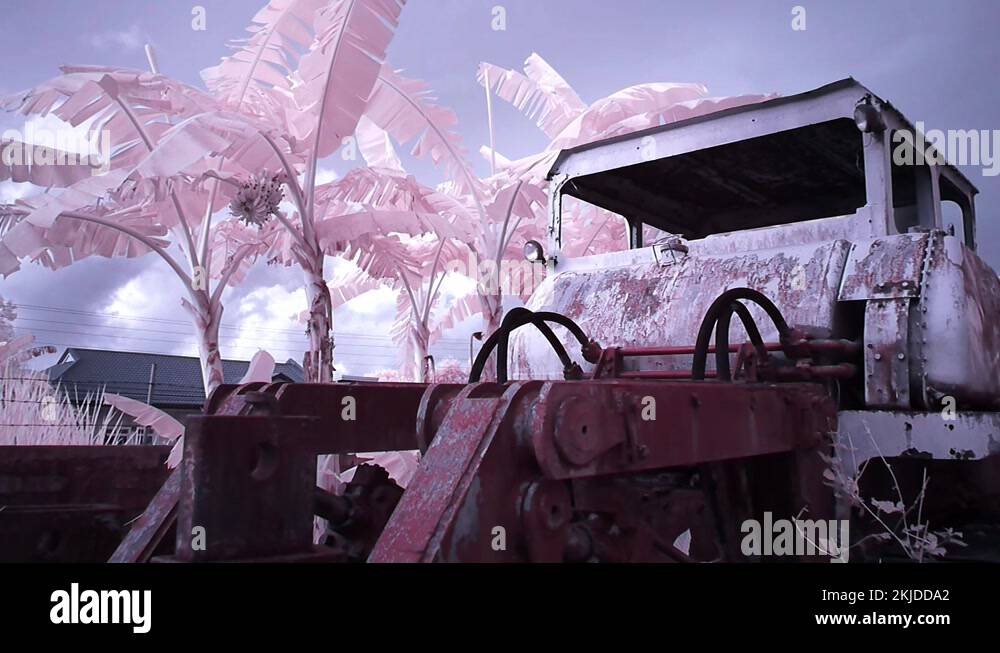 Farming dreamlike Stock Videos & Footage HD and 4K Video Clips Alamy