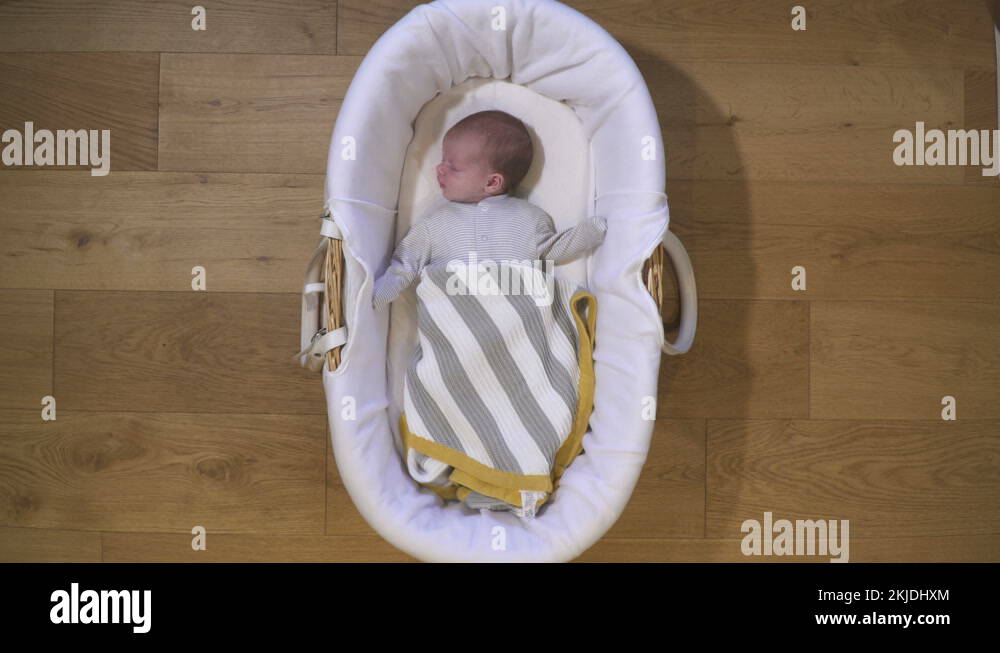 Moses in a basket Stock Videos & Footage HD and 4K Video Clips Alamy