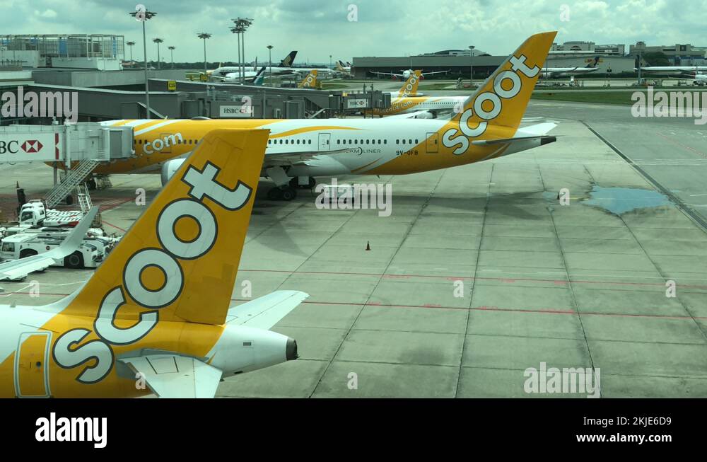 Scoot logo Stock Videos & Footage HD and 4K Video Clips Alamy