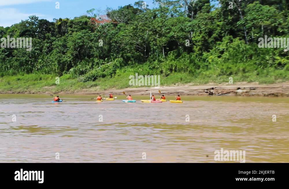 Ecotourism In The Amazon Basin Stock Videos Footage Hd And 4k Video Ecotourism In The Amazon Basin Stock Videos Footage Hd And 4k Video