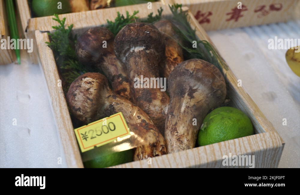 Matsutake japan Stock Videos & Footage HD and 4K Video Clips Alamy