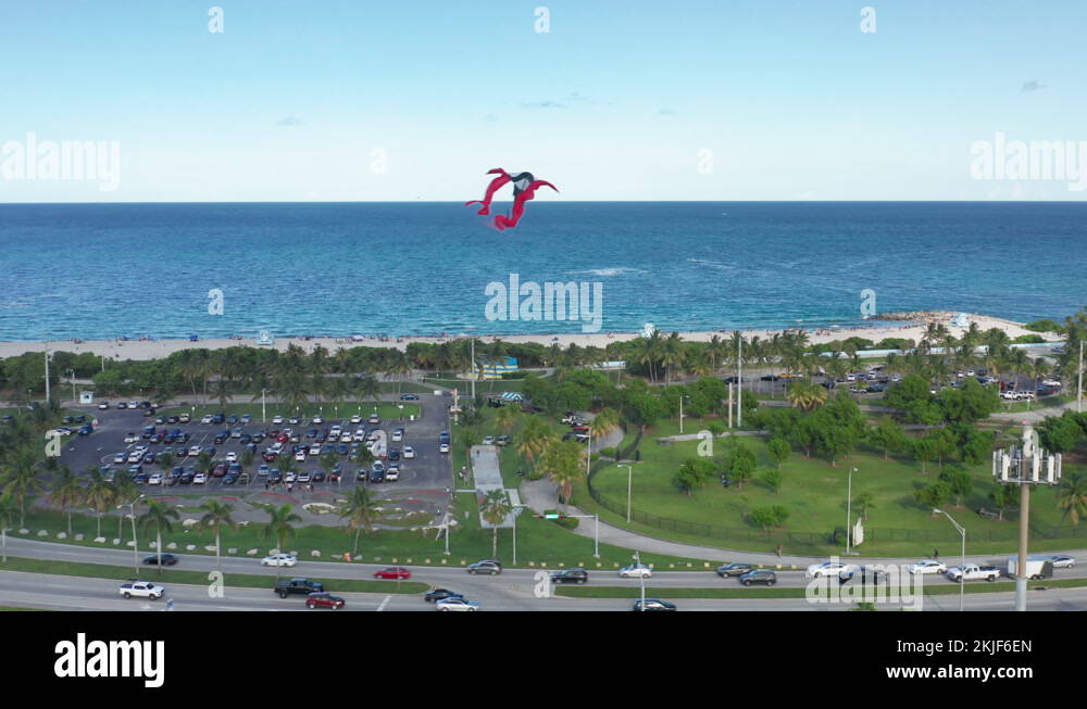 Summer nature of Florida. 4K aerial of the Kites soaring above the blue