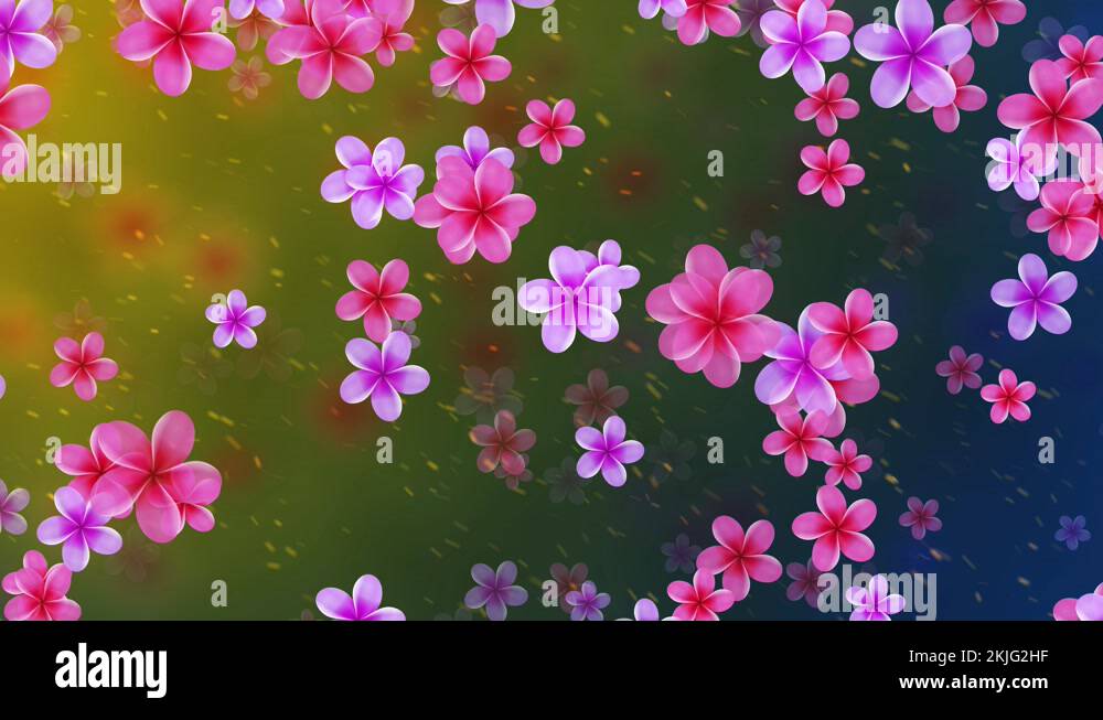 Plumeria flower purple wallpaper decoration Stock Videos & Footage - HD