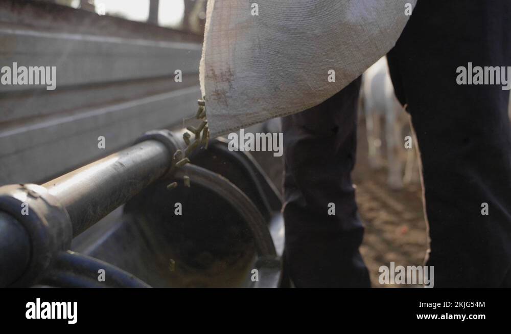 Livestock feed production Stock Videos & Footage HD and 4K Video Clips Alamy