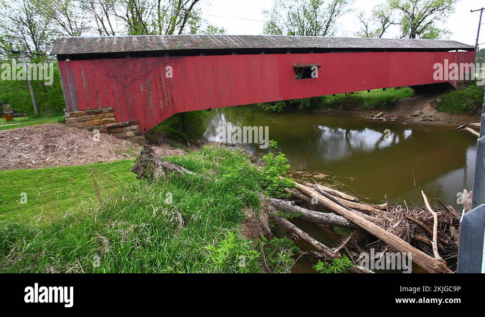 Mecca forest Stock Videos & Footage HD and 4K Video Clips Alamy