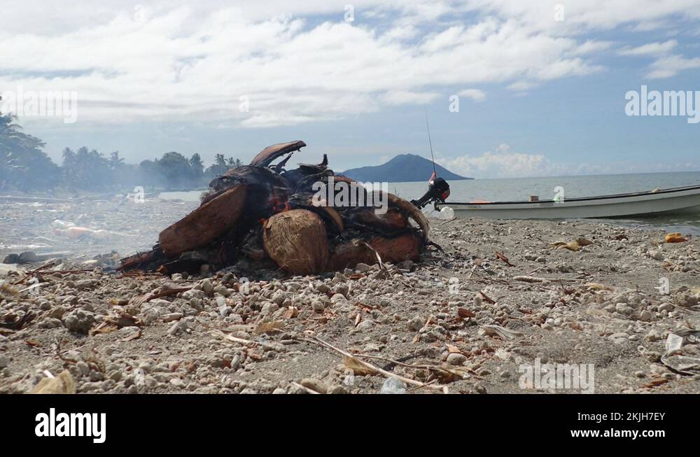 Coconut burning on deserted beach in PNG Papua New Guinea Stock Video