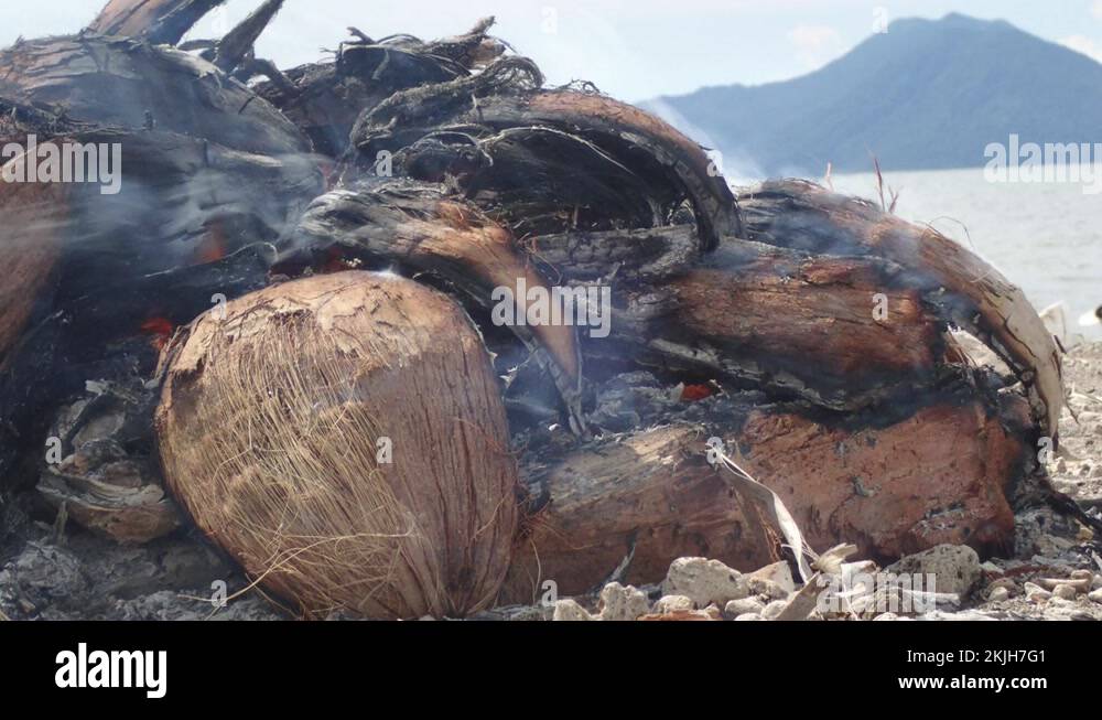 Coconut burning on the beach in Papua New Guinea , Rabaul Stock Video