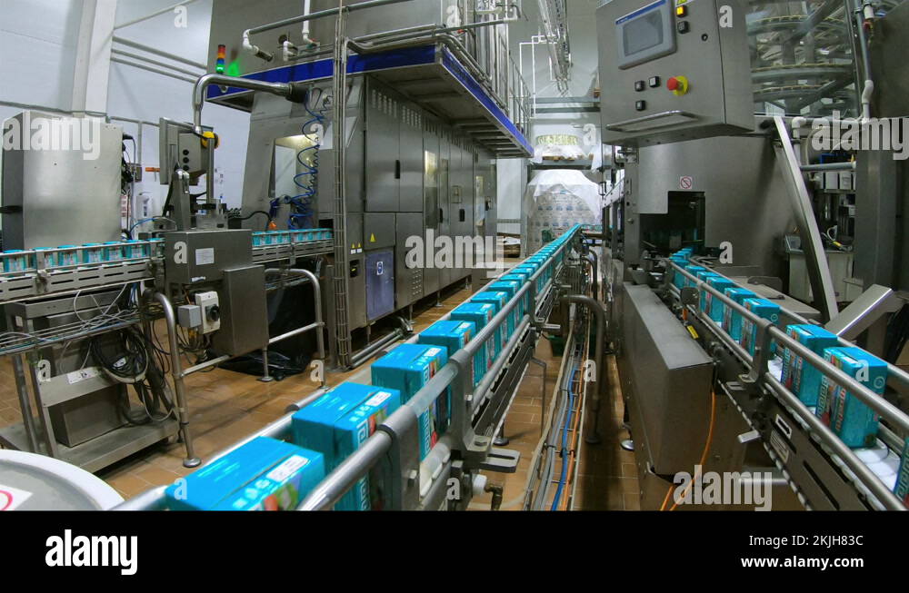 Dairy products factory. Cartons of milk. Conveyor for milk packaging