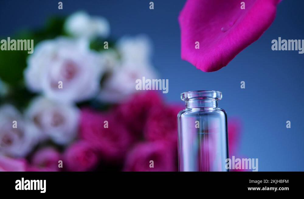 Perfume rose Stock Videos & Footage HD and 4K Video Clips Alamy