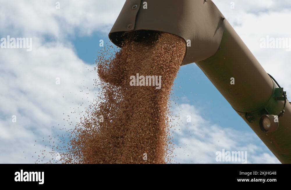 Auger in bin Stock Videos & Footage HD and 4K Video Clips Alamy