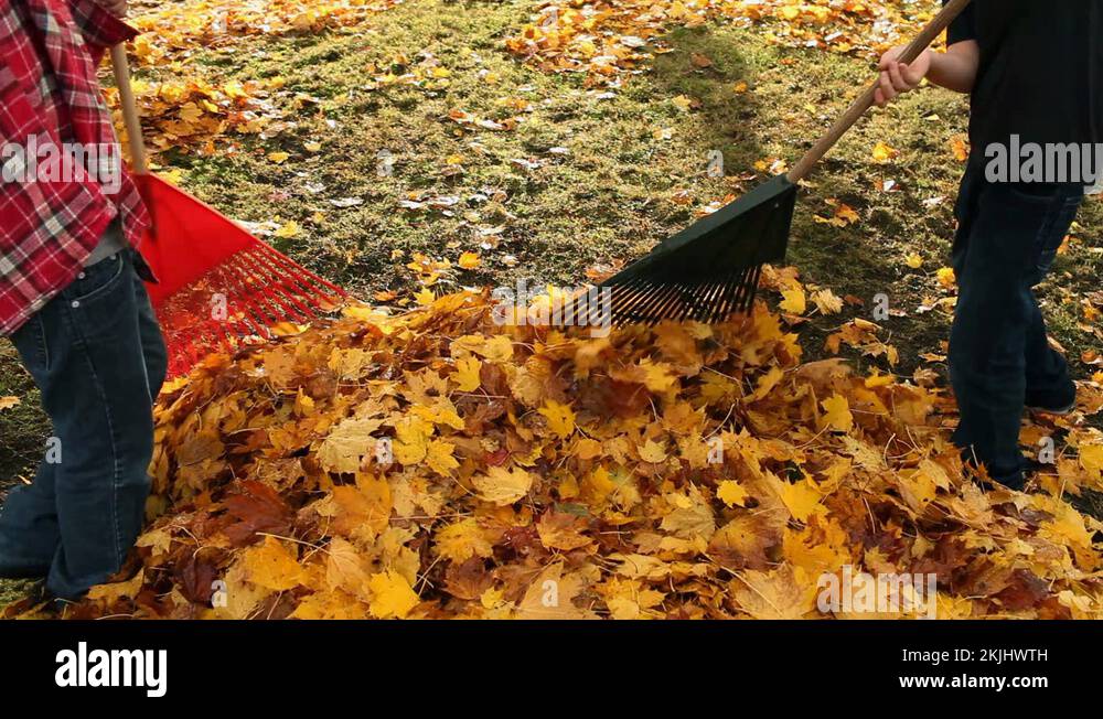 Two boys playing with rakes Stock Video Footage - Alamy