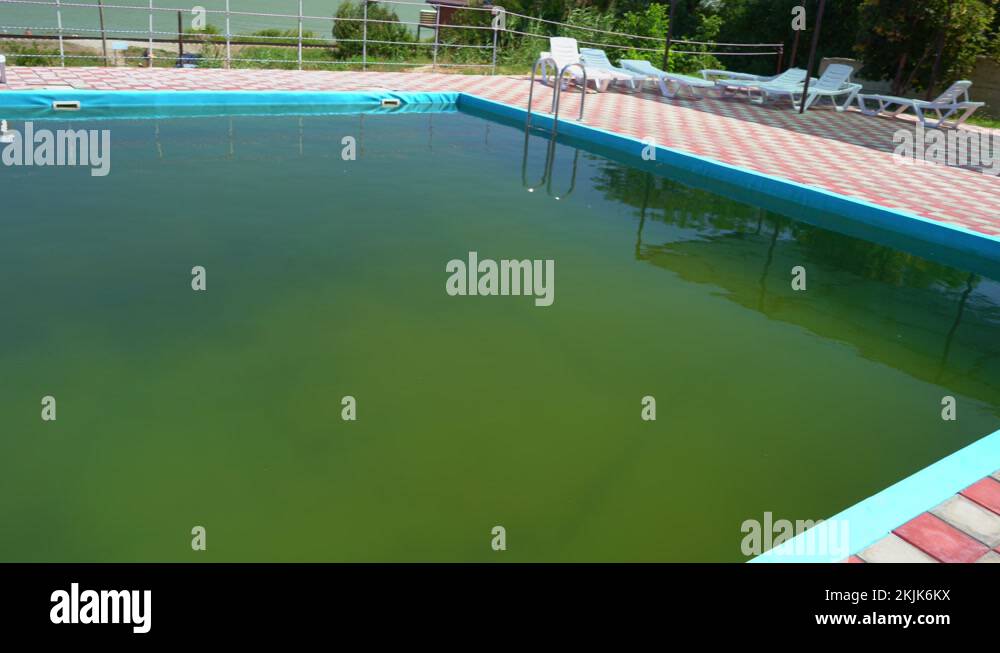Dirty pool with green water. poor service at resort. unsanitary