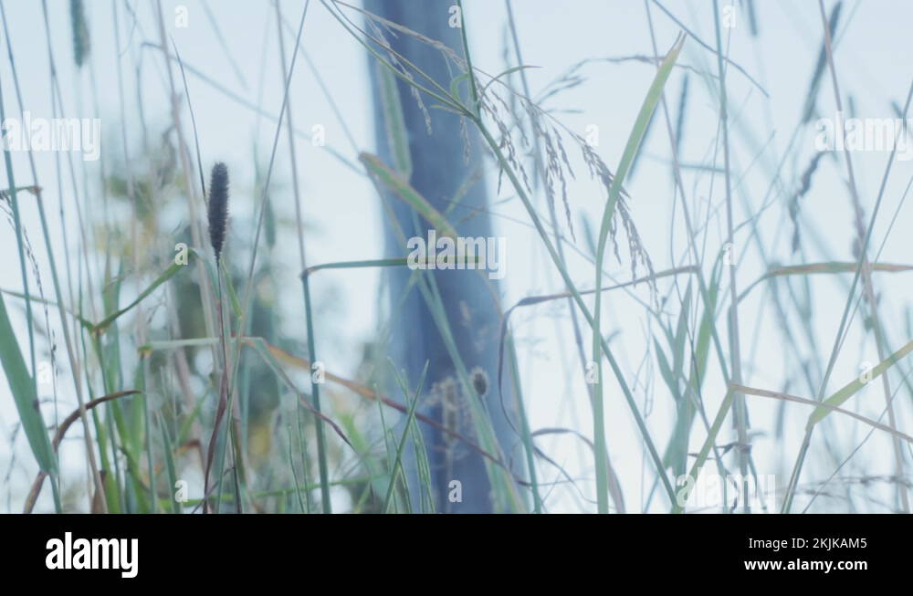 Ground receiver Stock Videos & Footage HD and 4K Video Clips Alamy