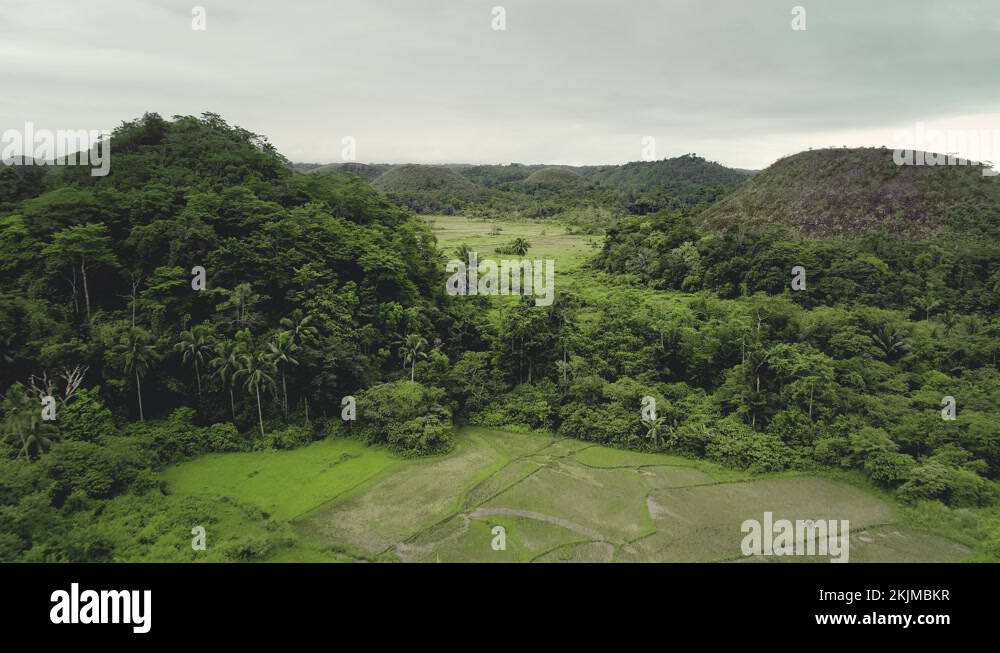 Philippines jungle Chocolate Hills aerial view on Bohol island. Green
