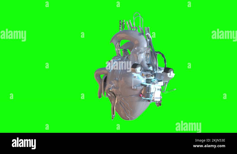 Artificial heart anatomy Stock Videos & Footage HD and 4K Video Clips