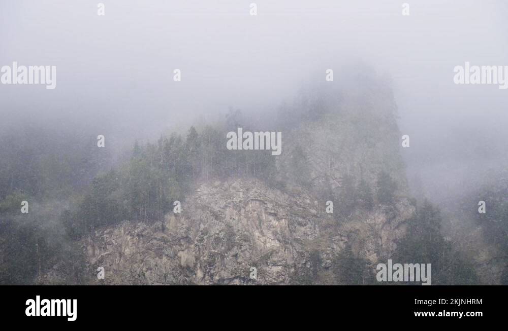 Steep tree covered slopes Stock Videos & Footage HD and 4K Video