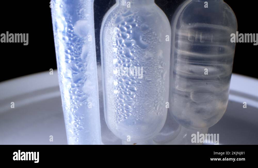 Fermentation trap Stock Videos & Footage HD and 4K Video Clips Alamy