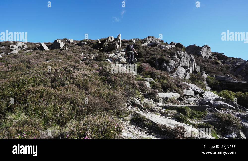 Man running up a mountain Stock Videos & Footage - HD and 4K Video ...