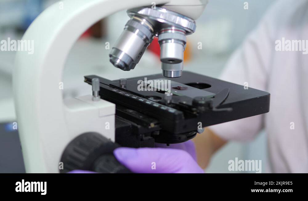 Microbiologist is testing a sample of blood contaminated by Coronavirus