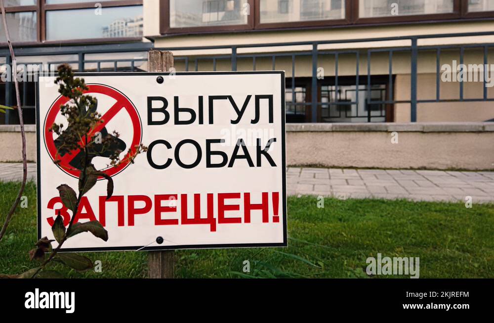 Plague sign Stock Videos & Footage - HD and 4K Video Clips - Alamy