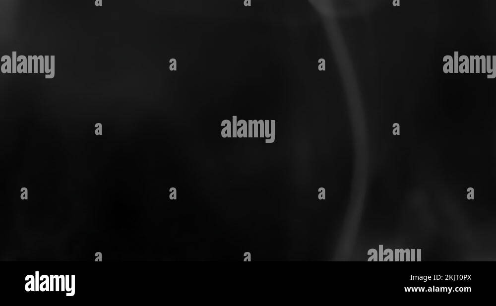 Real Smoke Overlays on Black Background. Video Loop Stock Video Footage