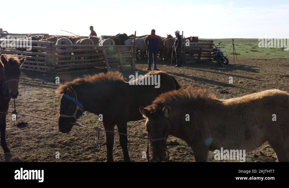 Mongolia daily life Stock Videos & Footage - HD and 4K Video Clips - Alamy