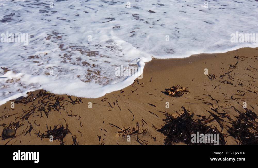 Slow motion video. A white foamy wave runs onto a golden sandy shore