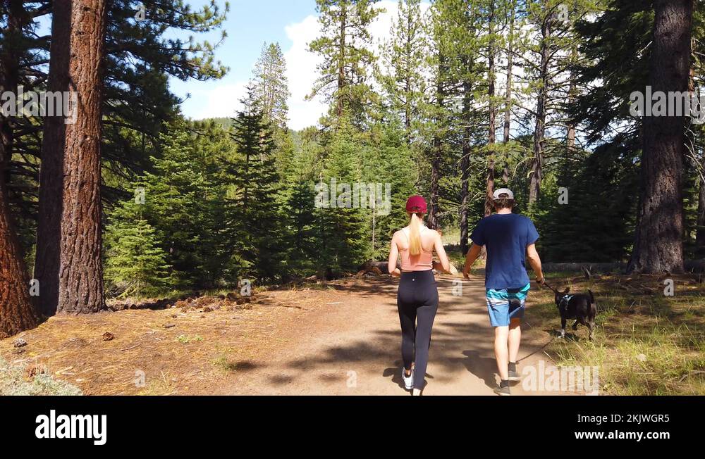 A man and woman walk through a forest with their dogs in slow motion in