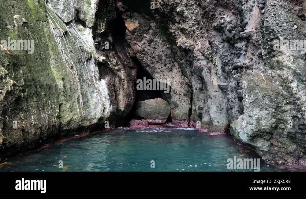 Philippines martinique Stock Videos & Footage HD and 4K Video Clips