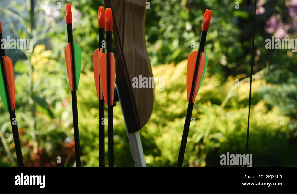 Bow And Arrow Stuck In The Ground Against The Background Of Green Trees ...