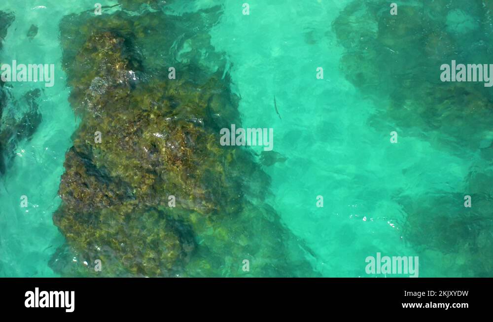 DESERT PARK NATURAL RESERVE BCS MEXICO2020 Look Upon The Clearest