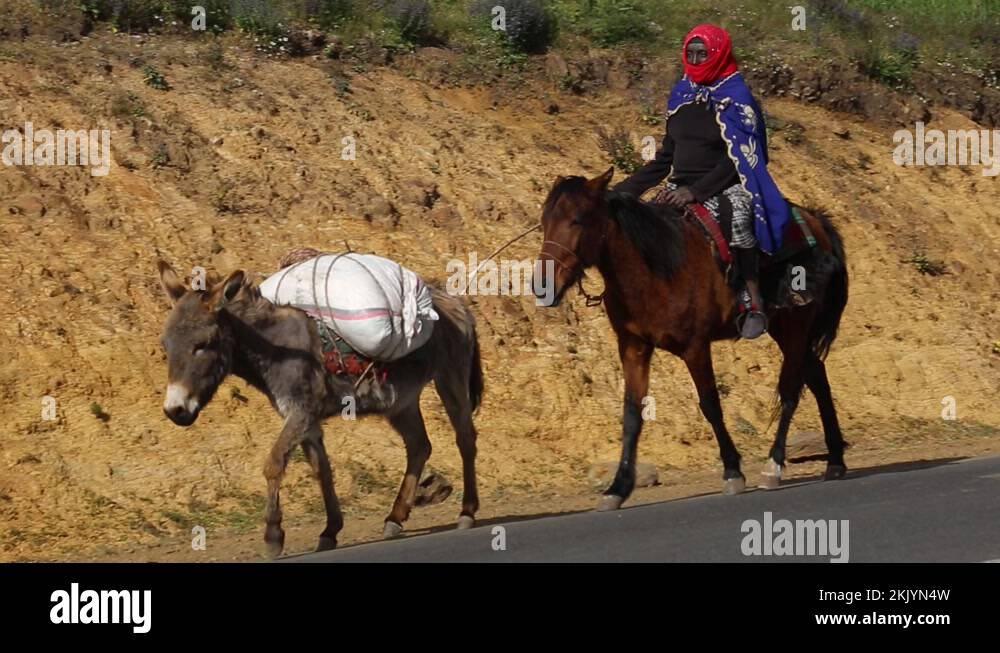 Ethiopia woman horse Stock Videos & Footage HD and 4K Video Clips Alamy