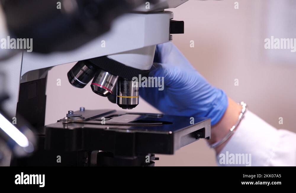 Placing sample on microscope slide and rotating objective lenses for ...