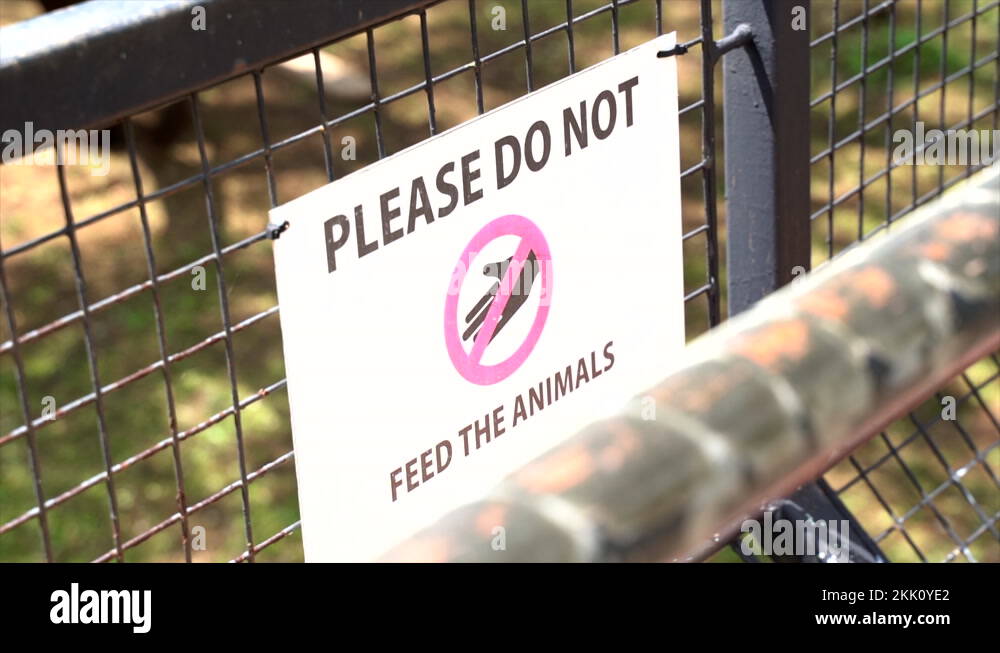 Please do not touch animals Stock Videos & Footage HD and 4K Video