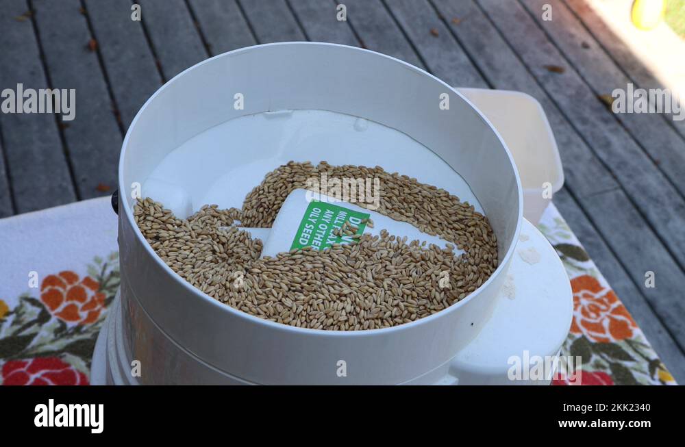 Ground hopper Stock Videos & Footage HD and 4K Video Clips Alamy