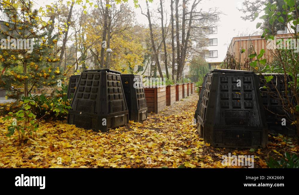 Ecological waste bins Stock Videos & Footage HD and 4K Video Clips