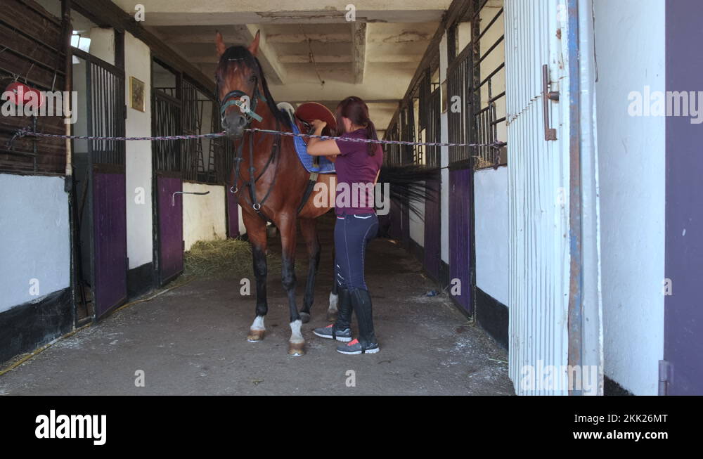 Woman riding horse stable Stock Videos & Footage - HD and 4K Video ...