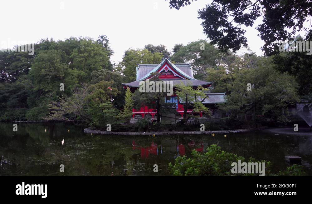 Beautiful shinto temple Stock Videos & Footage - HD and 4K Video Clips ...