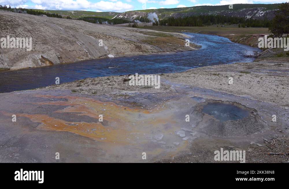 Pool bacteria Stock Videos & Footage HD and 4K Video Clips Alamy