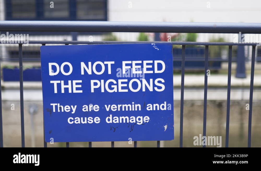Feeding not allowed sign Stock Videos & Footage HD and 4K Video Clips