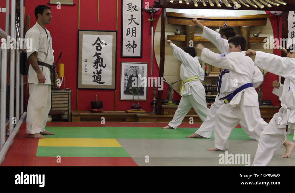 Japanese karate teacher in uniform Stock Videos & Footage HD and 4K Video Clips Alamy
