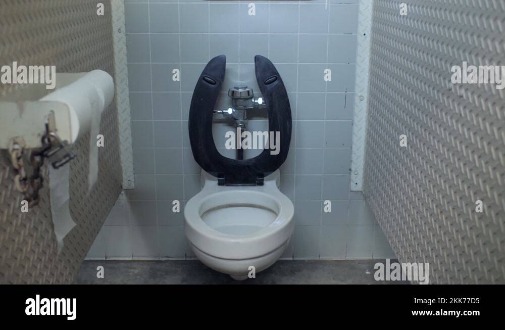 A public toilet with the seat up in a park bathroom and toilet paper